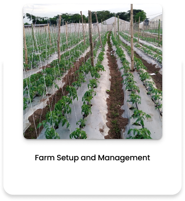 Farm setup and management