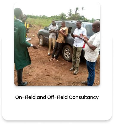 On field and off field consultancy