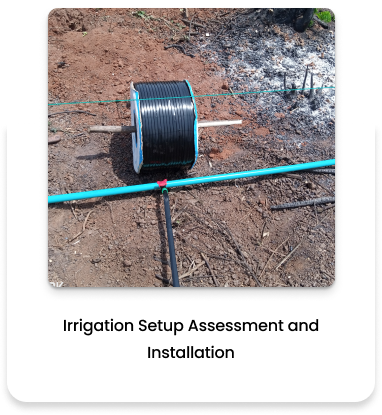 Irrigation setup assessment and installation