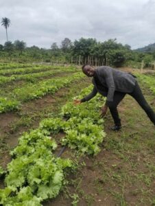 WATER CONSERVATION METHODS FOR FARMERS: SAVING WATER, SAVING CROPS, SAVING THE PLANET